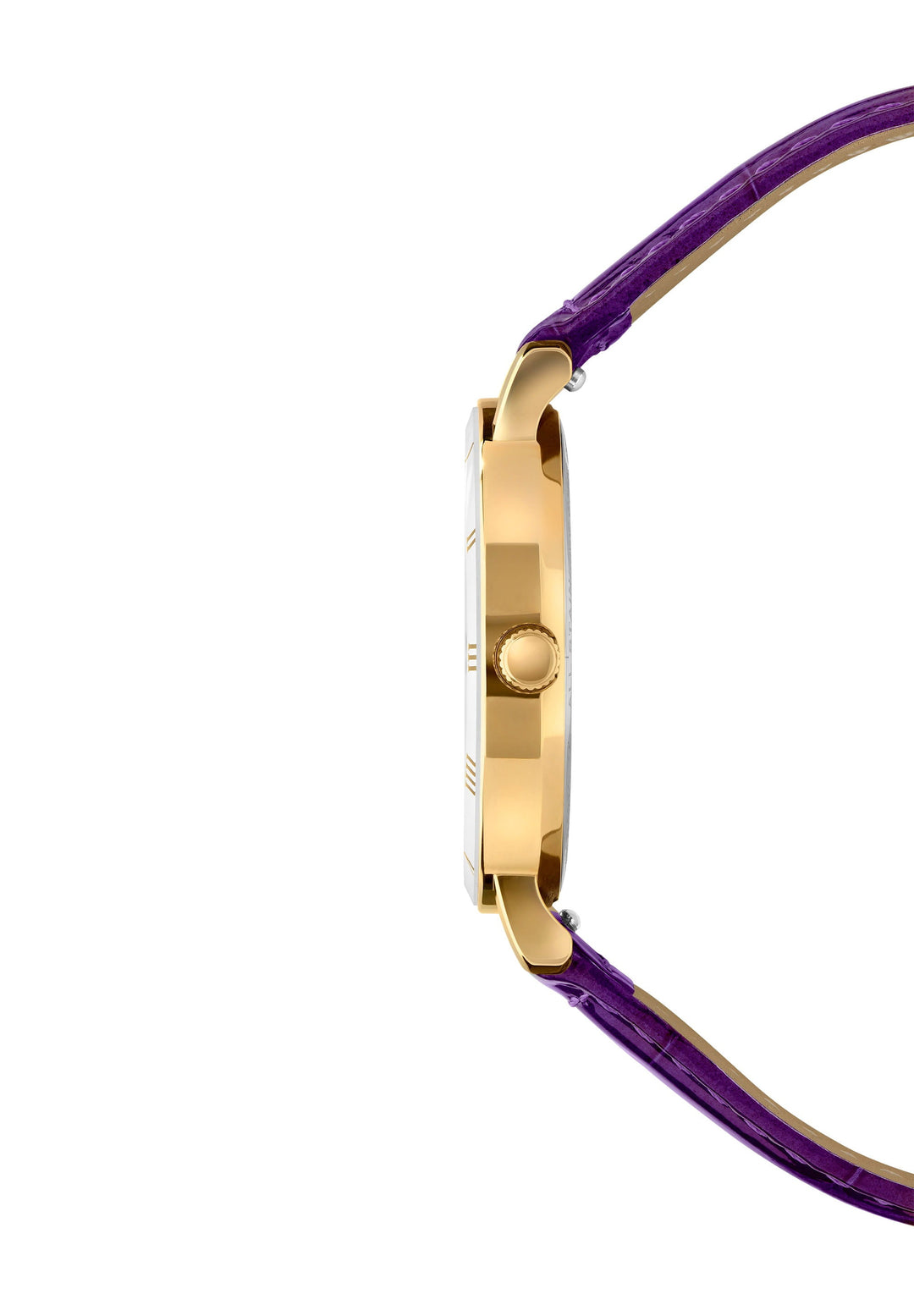 Roma Swiss Ladies Watch J2.279.M-1