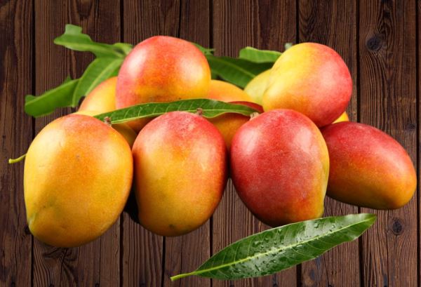 Dominic Republic Mango Box 1.5Kg