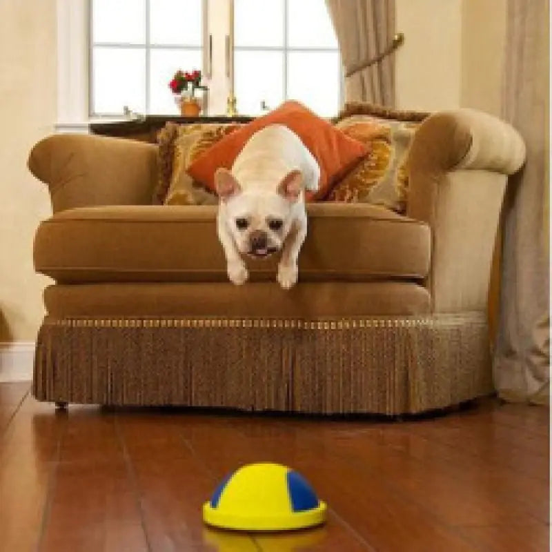 K9 CRUISER Dog Toy: Push, Ball, and Chew Toys