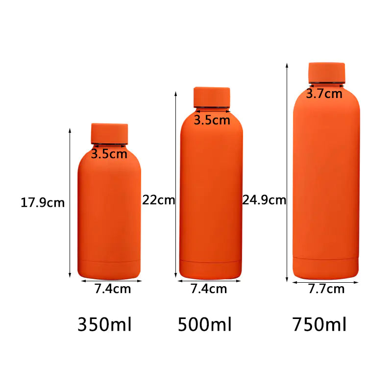 Double-Layer Stainless Steel Vacuum Flask for Sports