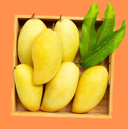 Pakistanische Mango (1kg)