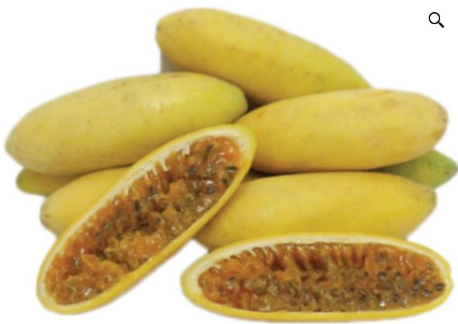 Passiflora mollissima / Passiflora tarminiana - Bananen-Passionsfrucht, Passionsblumen-Maracuja, Bananen-Poka-Samen