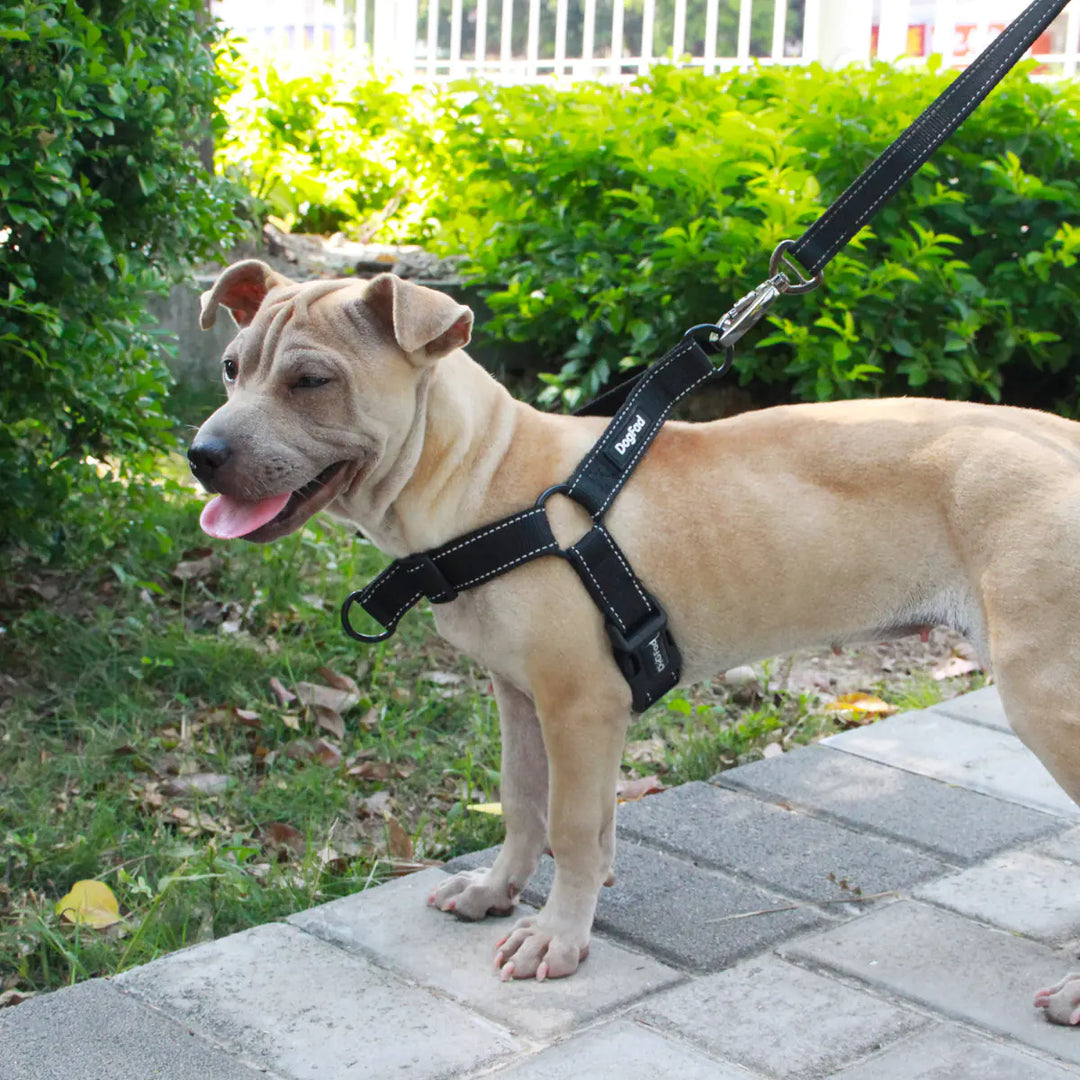 Reflective Night Chest Strap Collar for Dogs