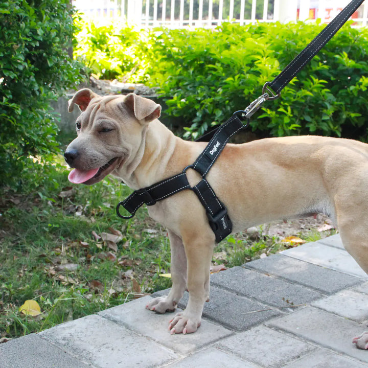 Reflective Night Chest Strap Collar for Dogs