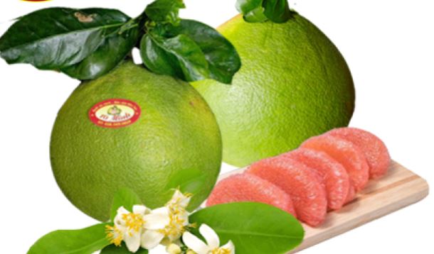 Fresh Vua Buoi Fruit