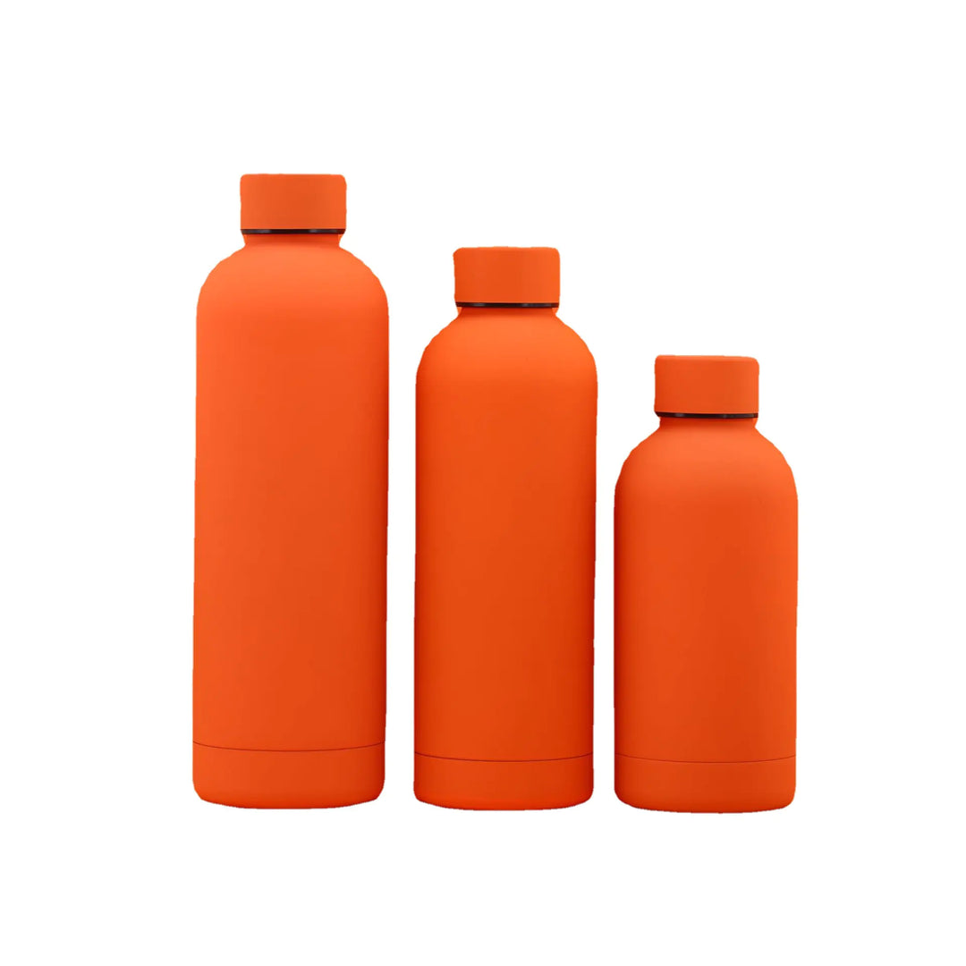 Double-Layer Stainless Steel Vacuum Flask for Sports
