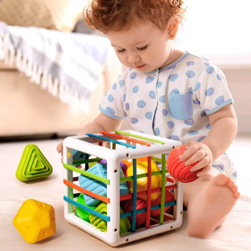 Sorting Game Colorful Shape Blocks - MD Store