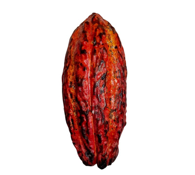 Cocoa  1Kg MD-Store