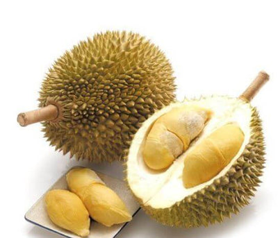 Durian Fruit 1 Pc (2 to 3 Kg) MD-Store