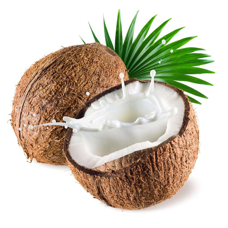 Fresh Coconut 1pc MD-Store