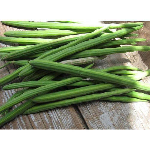 Fresh Drumsticks MD-Store