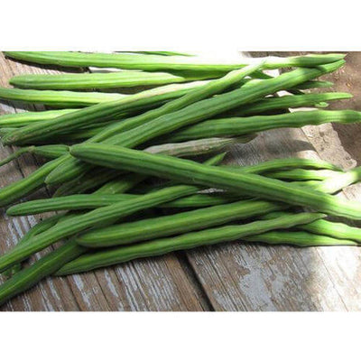Fresh Drumsticks MD-Store