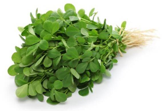 Fresh Methi MD-Store