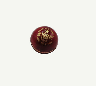 Cricket Leather Ball