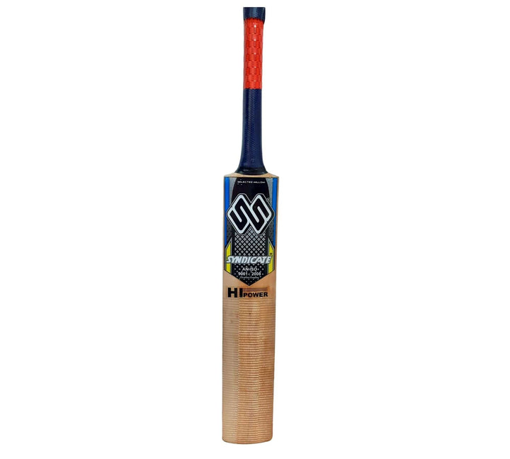 Cricket bat- Leather Ball