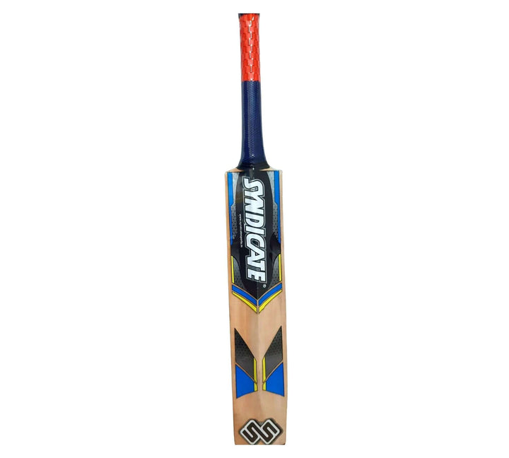 Cricket bat- Leather Ball