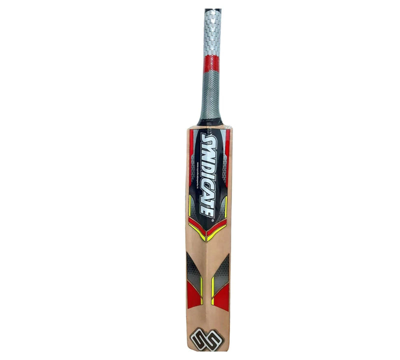 Cricket bat- Leather Ball
