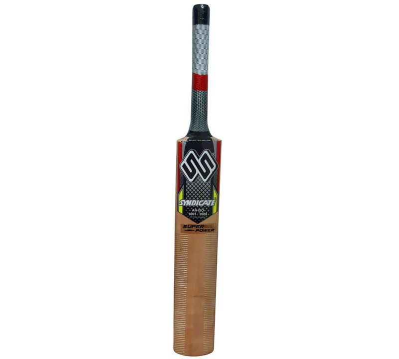 Cricket bat- Leather Ball